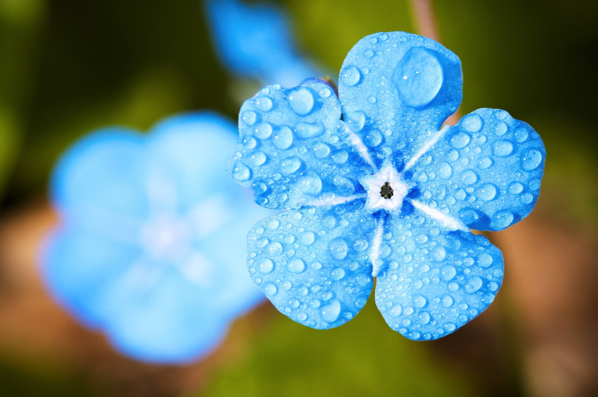Primavera inicia com chuva de 100 mm e muita ventania para áreas de 5 estados