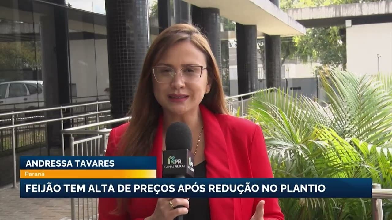 Alta no preço do feijão é reflexo da redução da área plantada