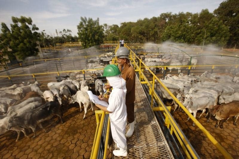 PIB do Pará cresce 1,17% no segundo trimestre de 2026