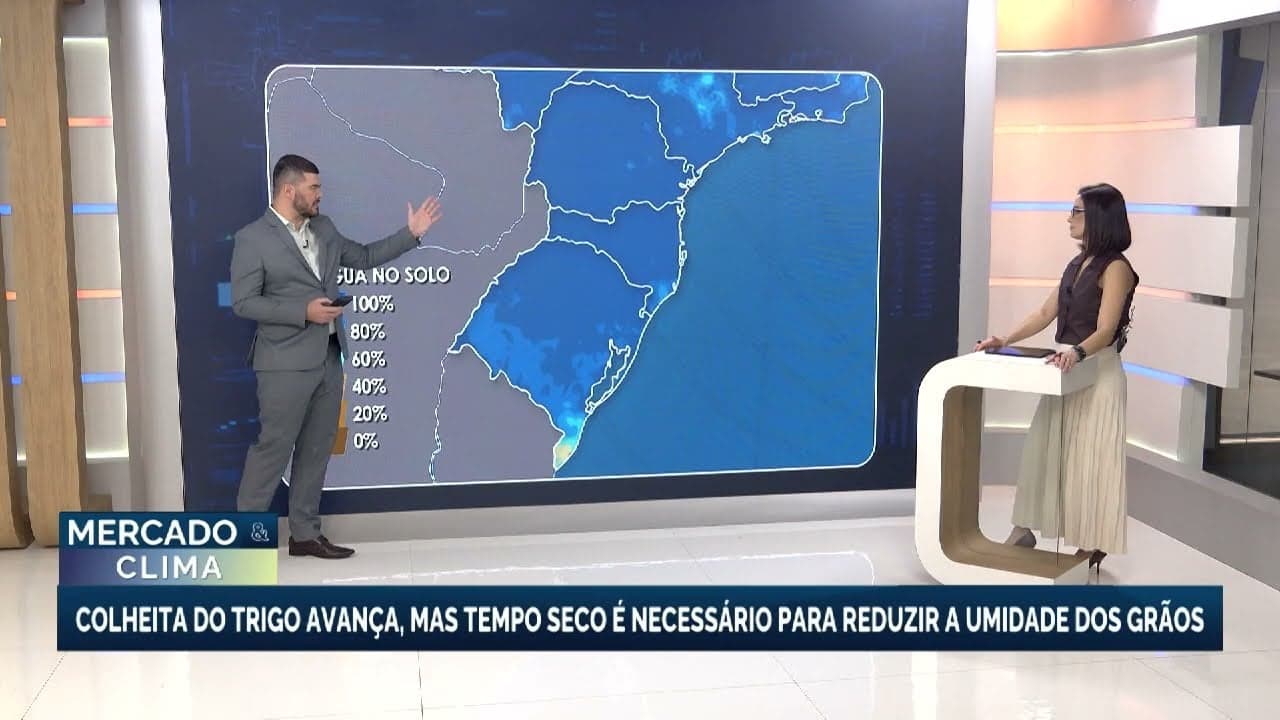 Colheita do trigo avança 5,4% em relação ao ano passado, mas chuvas são esperadas