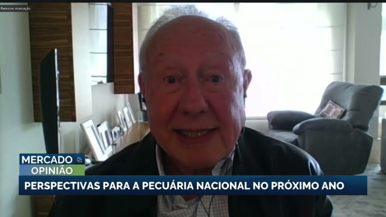 Perspectivas para a pecuária nacional em 2027 e desafios no mercado europeu