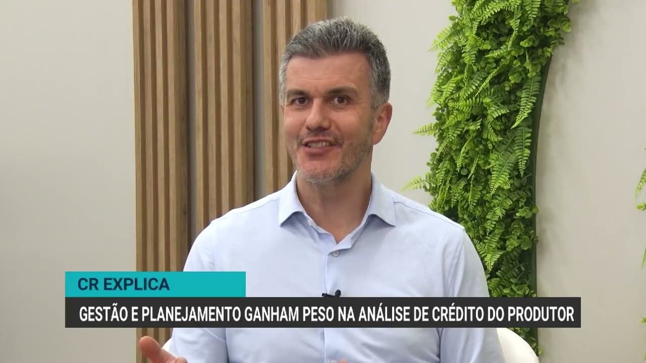 Gestão e planejamento financeiro são essenciais na análise de crédito rural