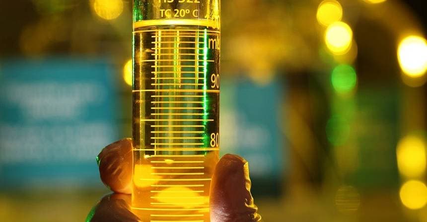Transição energética abre oportunidade bilionária para o agro brasileiro, avalia CEO da Binatural