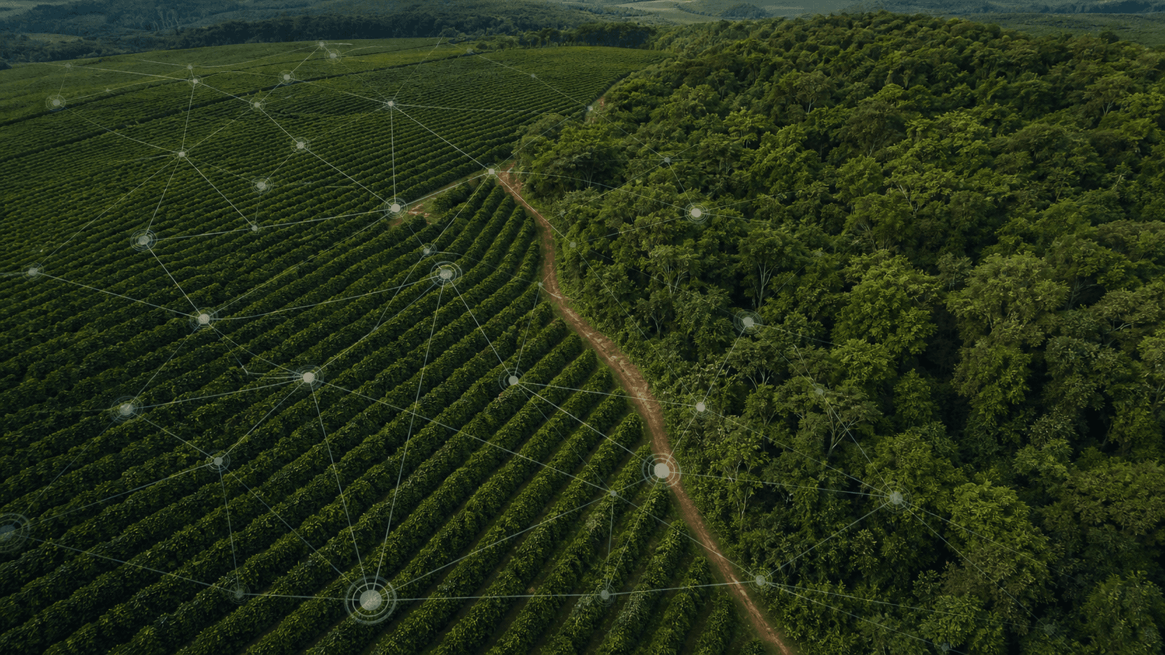 Como tecnologias verdes e gestão de risco estão blindando o campo