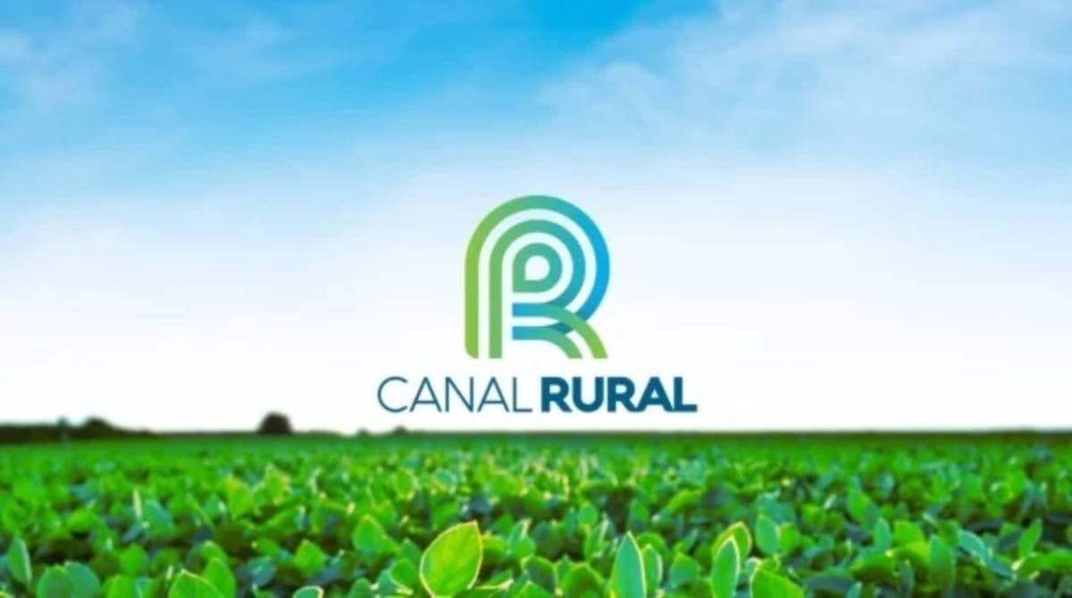 Plantio da soja no Paraná avança e chega a 30% da área prevista para safra 2026/27