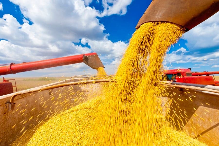 Conab diz que Brasil será, mais uma vez, o maior provedor de soja do mundo; quanto a produção deve crescer em 26/27?