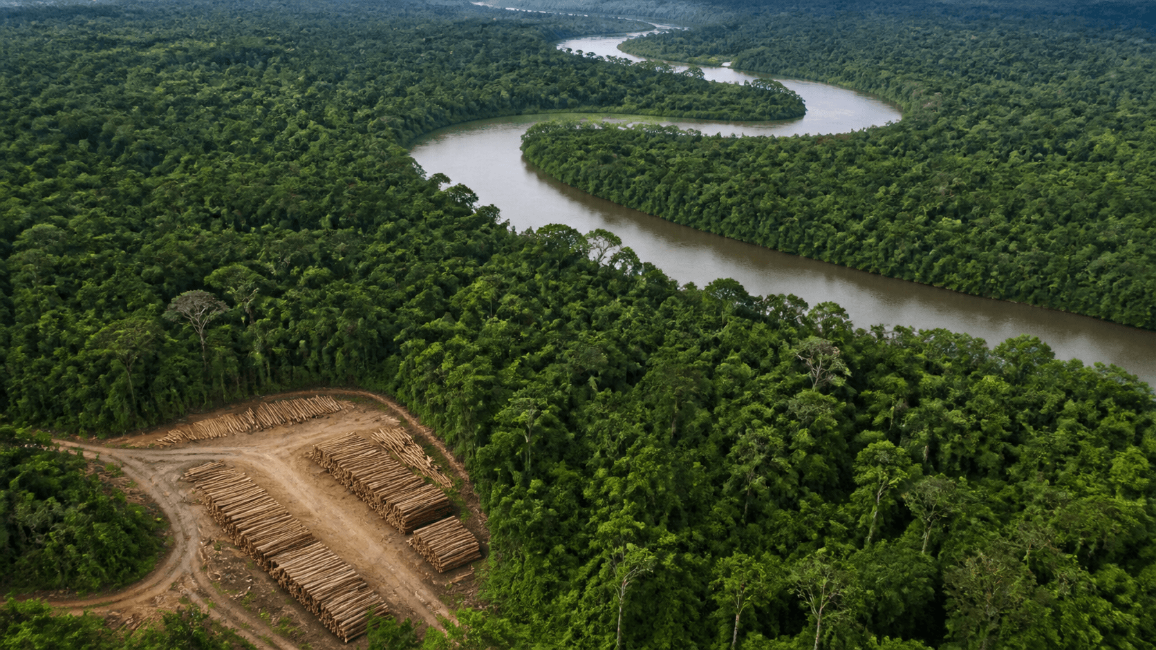 BNDES e Acre avançam em projeto de concessão de florestas estaduais