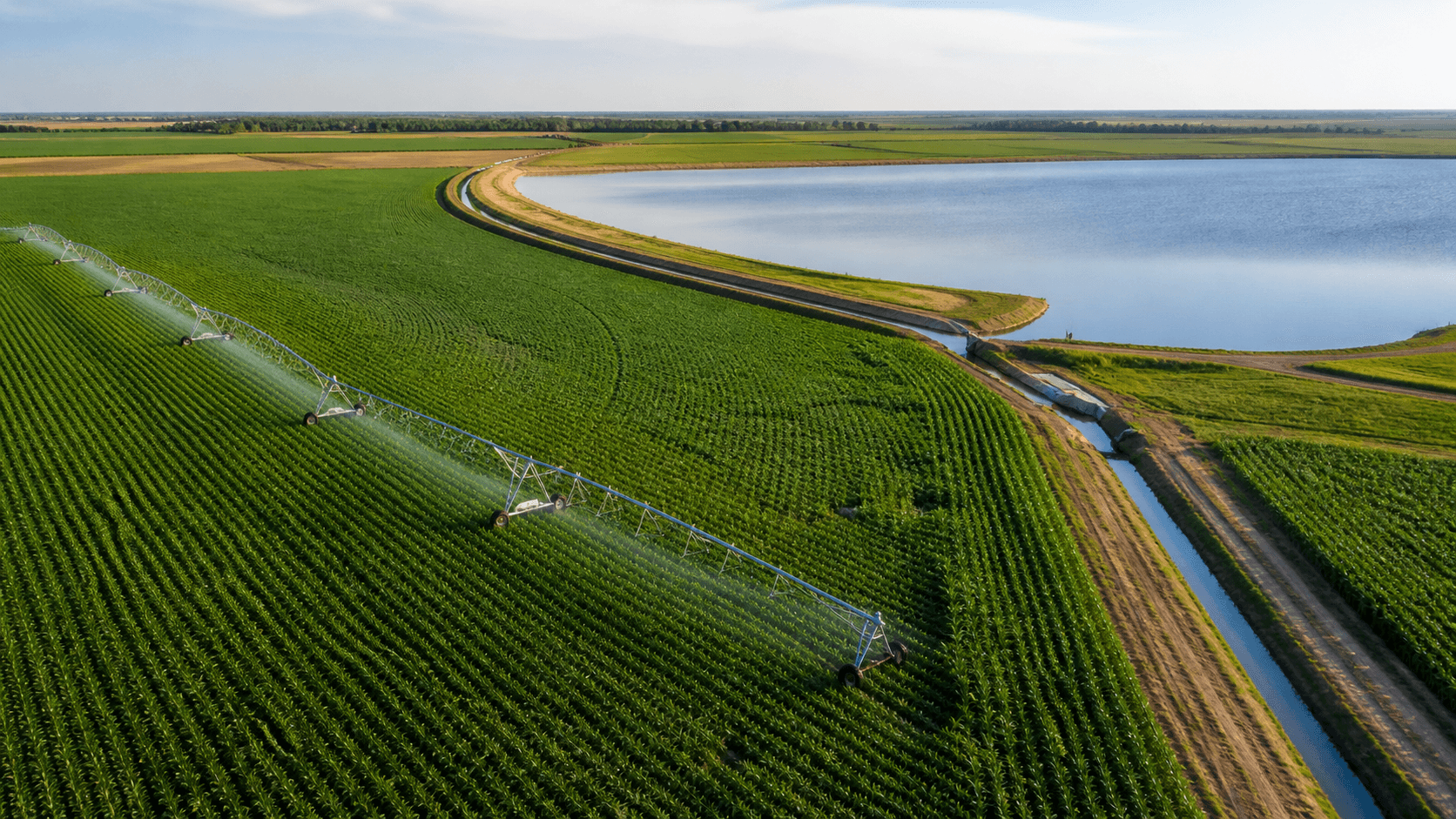 Fórum em Pelotas debate investimento e expansão da irrigação no sul do RS