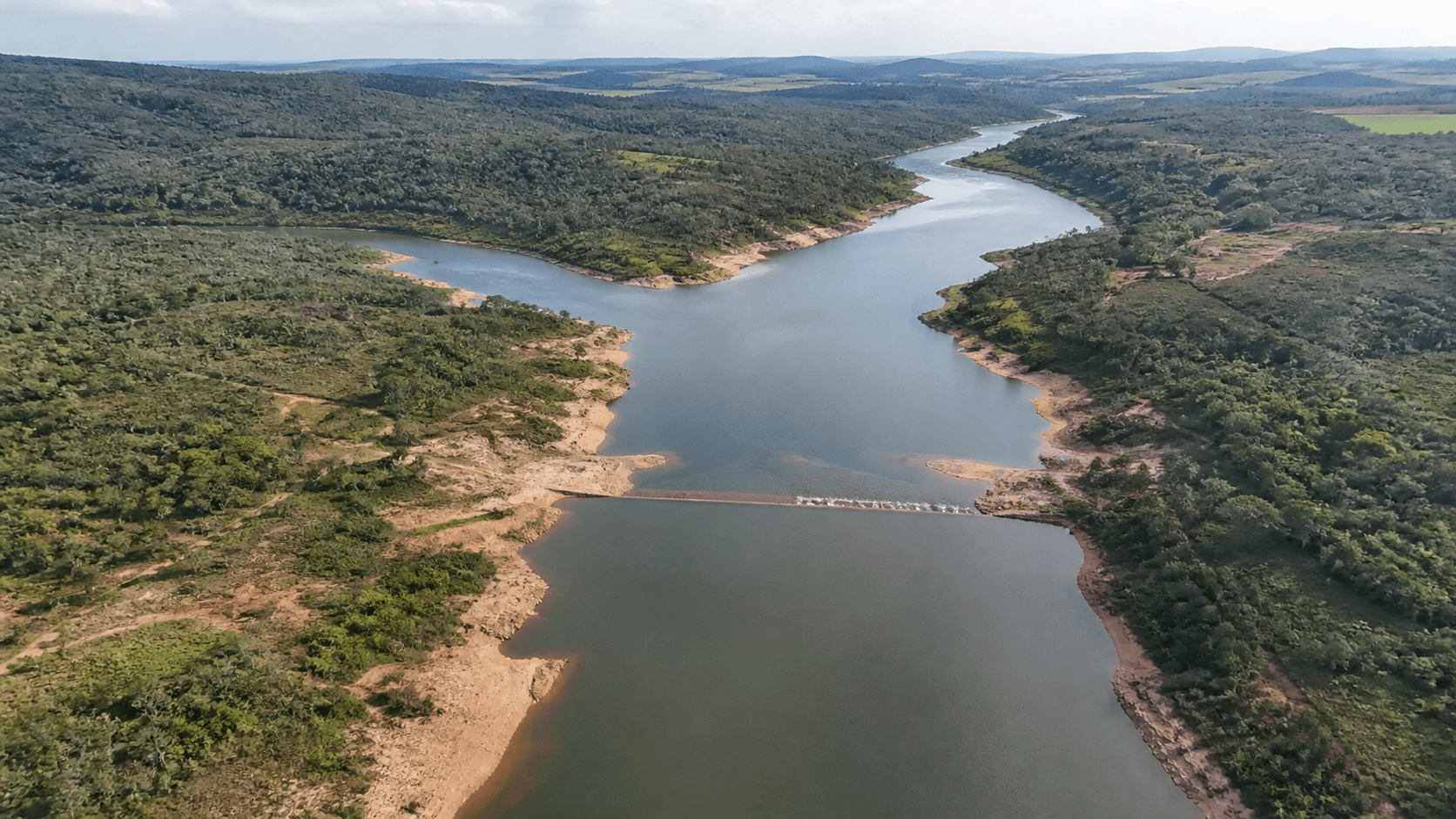 Relatório aponta queda de 73% nas populações de vertebrados selvagens desde 1970