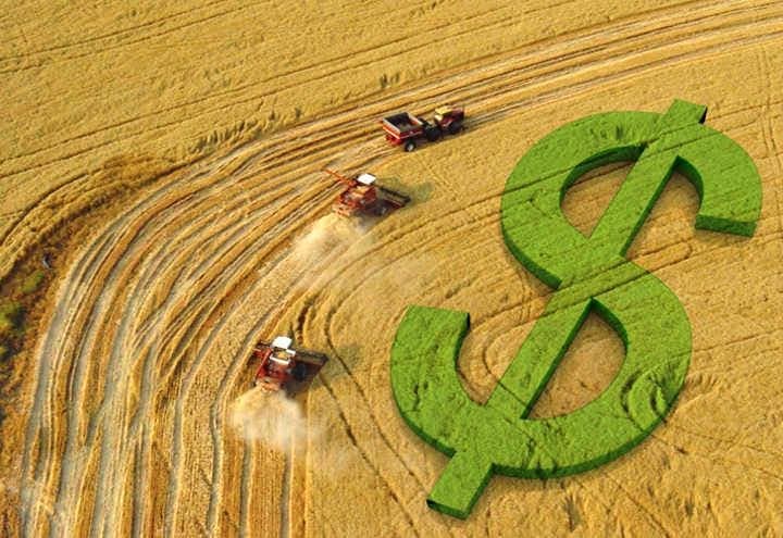 Preços de soja sobem de R$ 1 a R$ 2 por saca nas praças do Brasil; confira as cotações do dia