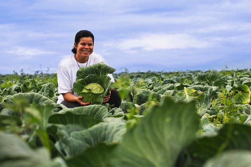 Prefeitura abre chamada pública para compra de alimentos com investimento de R$ 324,8 mil