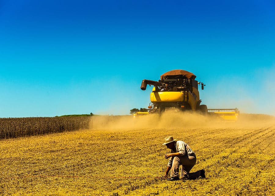 Pesquisa com 4,5 mil profissionais revela principais riscos éticos do agronegócio