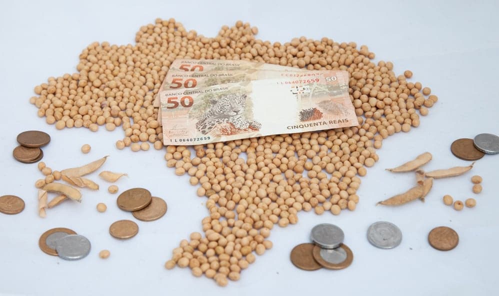 Cotações de soja avançam no dia, mas negócios seguem travados; veja os preços de hoje