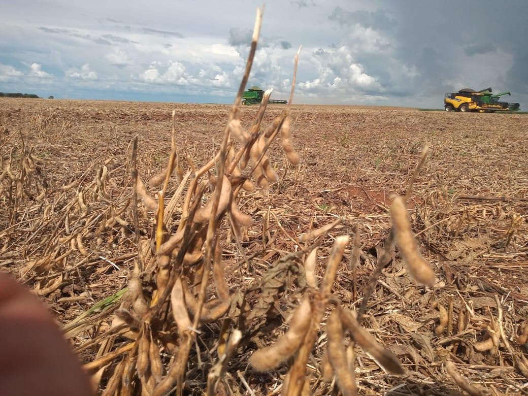 Aprosoja-GO e Faeg possibilitam antecipação do plantio de soja em Goiás