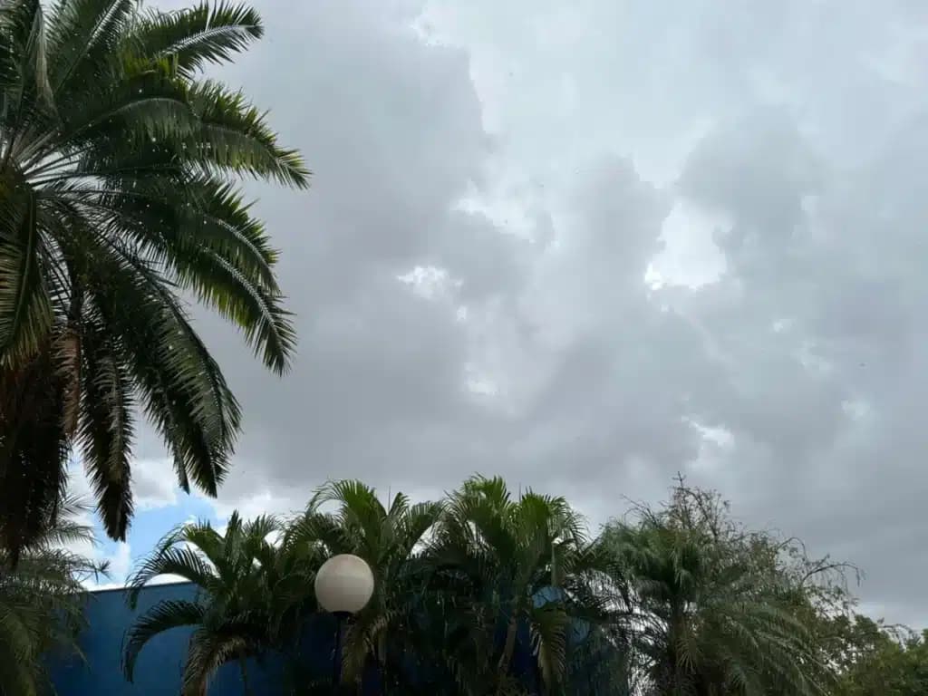 Inmet alerta para chuvas intensas no estado de SP; Confira as cidades