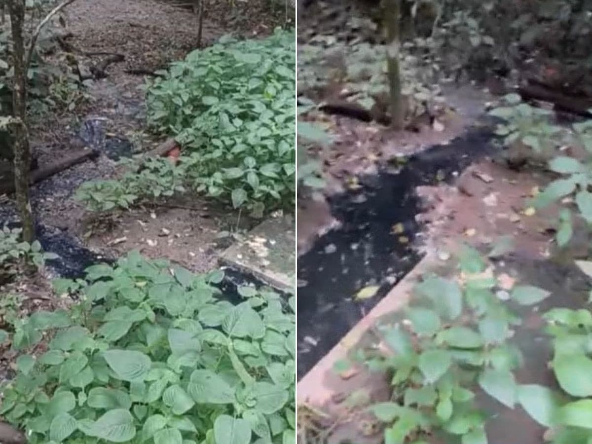 Polícia Civil identifica falhas em usina de resíduos e apura poluição em rio no litoral de SP