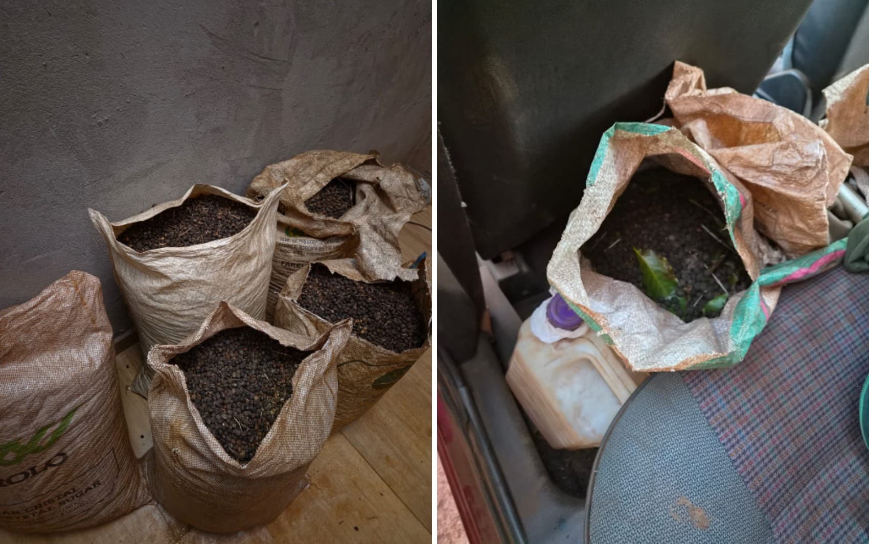 Funcionário de fazenda é preso por suspeita de furtar sacas de café em Ribeirão Corrente, SP