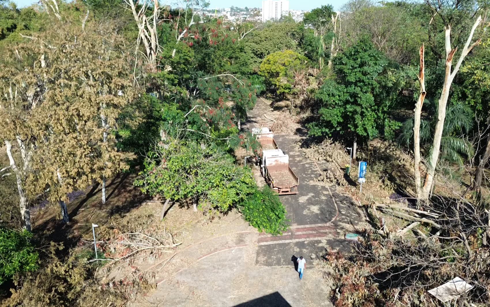 Parque Maurílio Biagi segue fechado duas semanas após temporal em Ribeirão Preto, SP