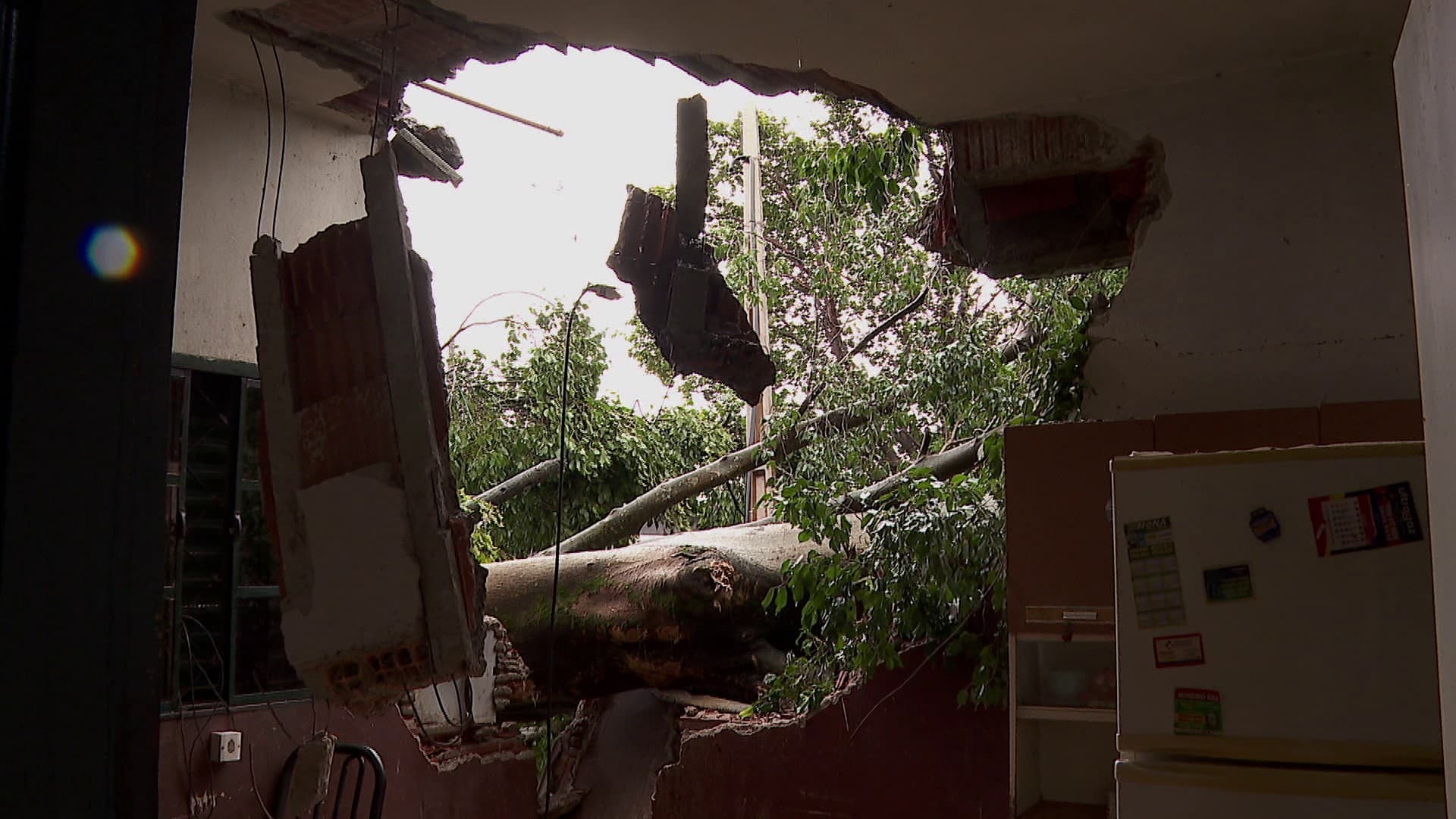 CUFA lança campanha para arrecadar doações às vítimas do temporal em Ribeirão Preto, SP; saiba como doar