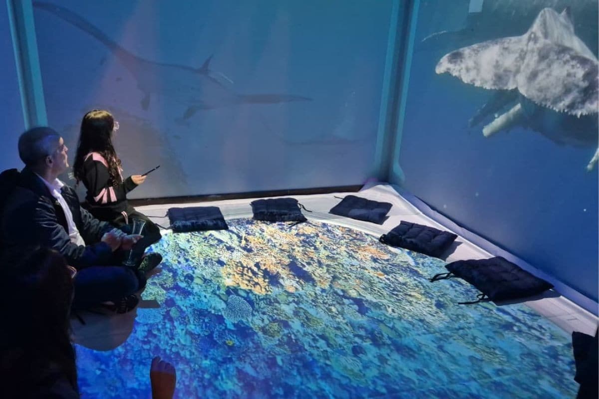 Cinema imersivo simula fundo do mar em novo espaço sobre raias-manta no litoral de SP