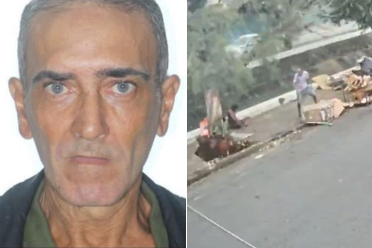 Exame identifica homem em situação de rua morto após queda de árvore em Santos; VEJA