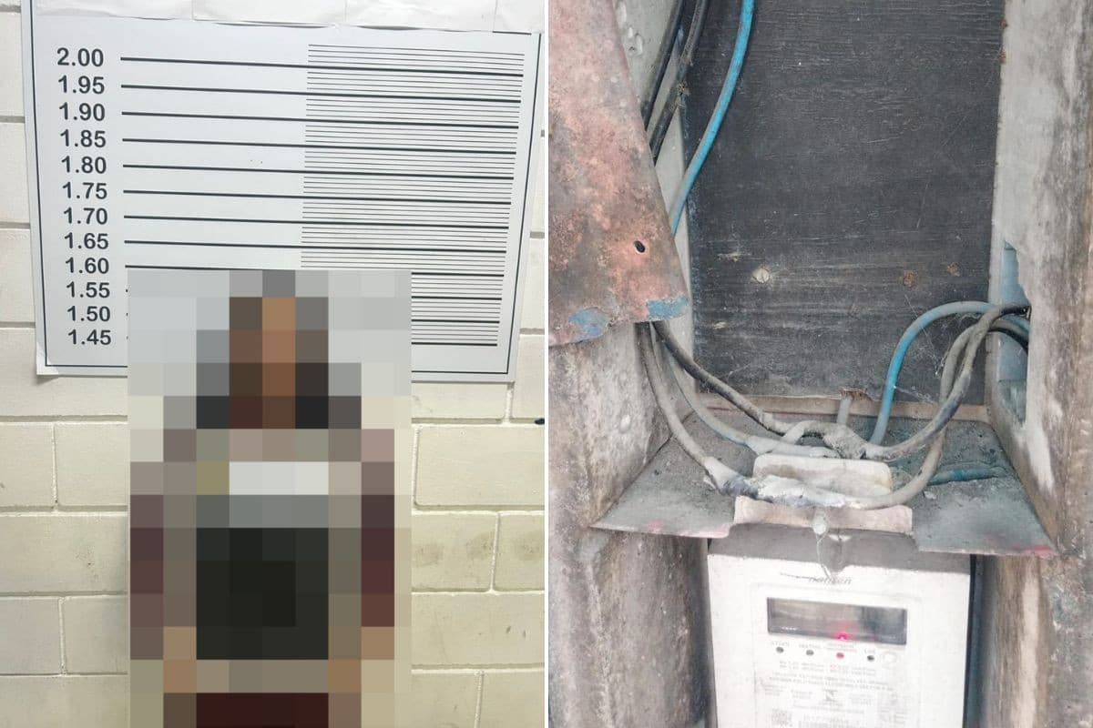 Dona de adega é presa por furto de energia no litoral de SP; comércio estava irregular há 8 anos