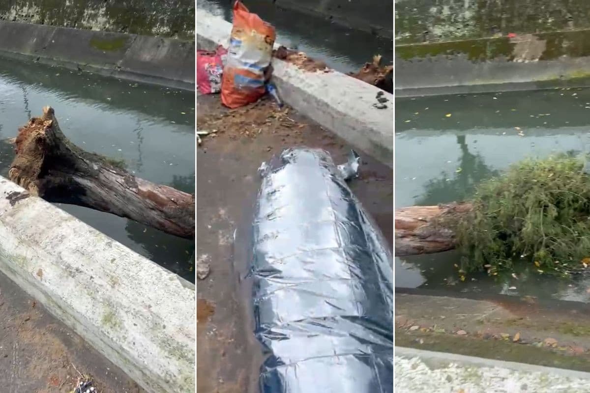 Homem que morreu durante ventania de 100 km/h no litoral de SP ainda não foi identificado; entenda