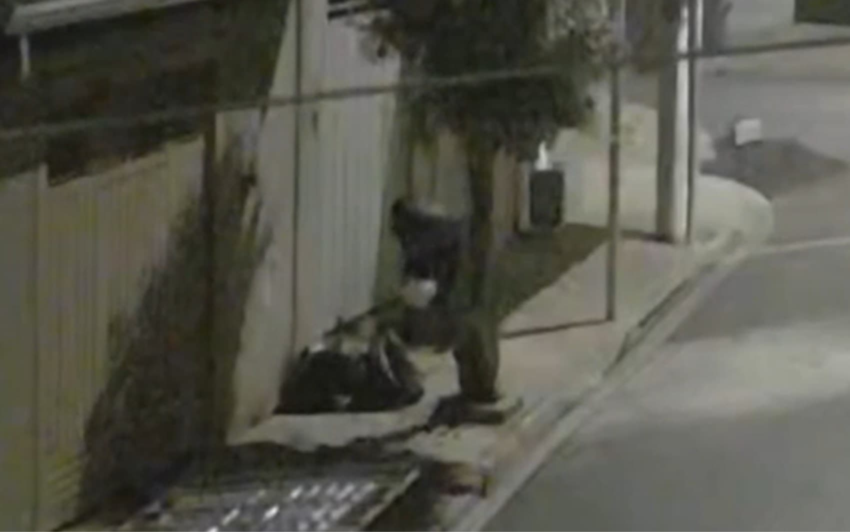 Homem coloca fogo no portão de uma casa, em Ribeirão Preto, SP; VÍDEO