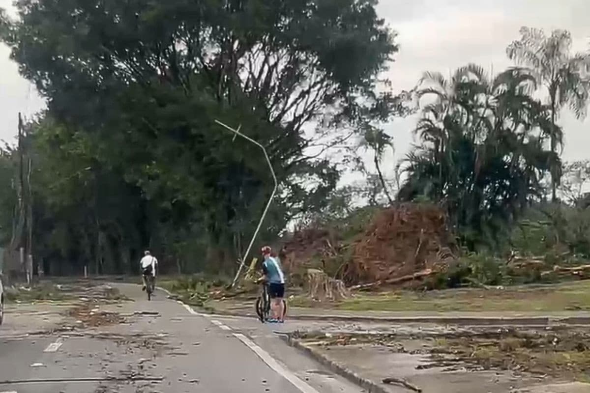 Morte, aulas suspensas, imóveis destelhados e mais de 80 árvores caídas: veja os danos causados por ventania no litoral de SP