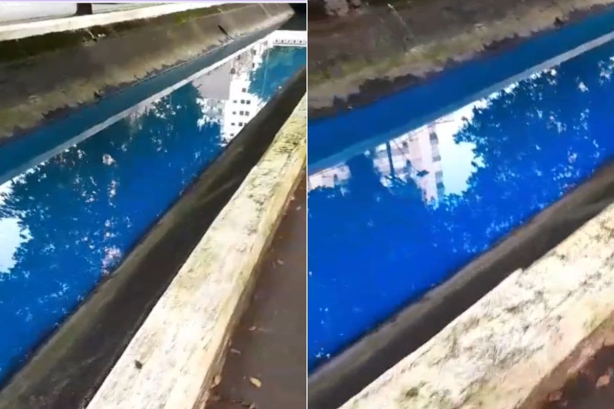 Canal de Santos fica com água azul fluorescente e chama a atenção de moradores; VÍDEO
