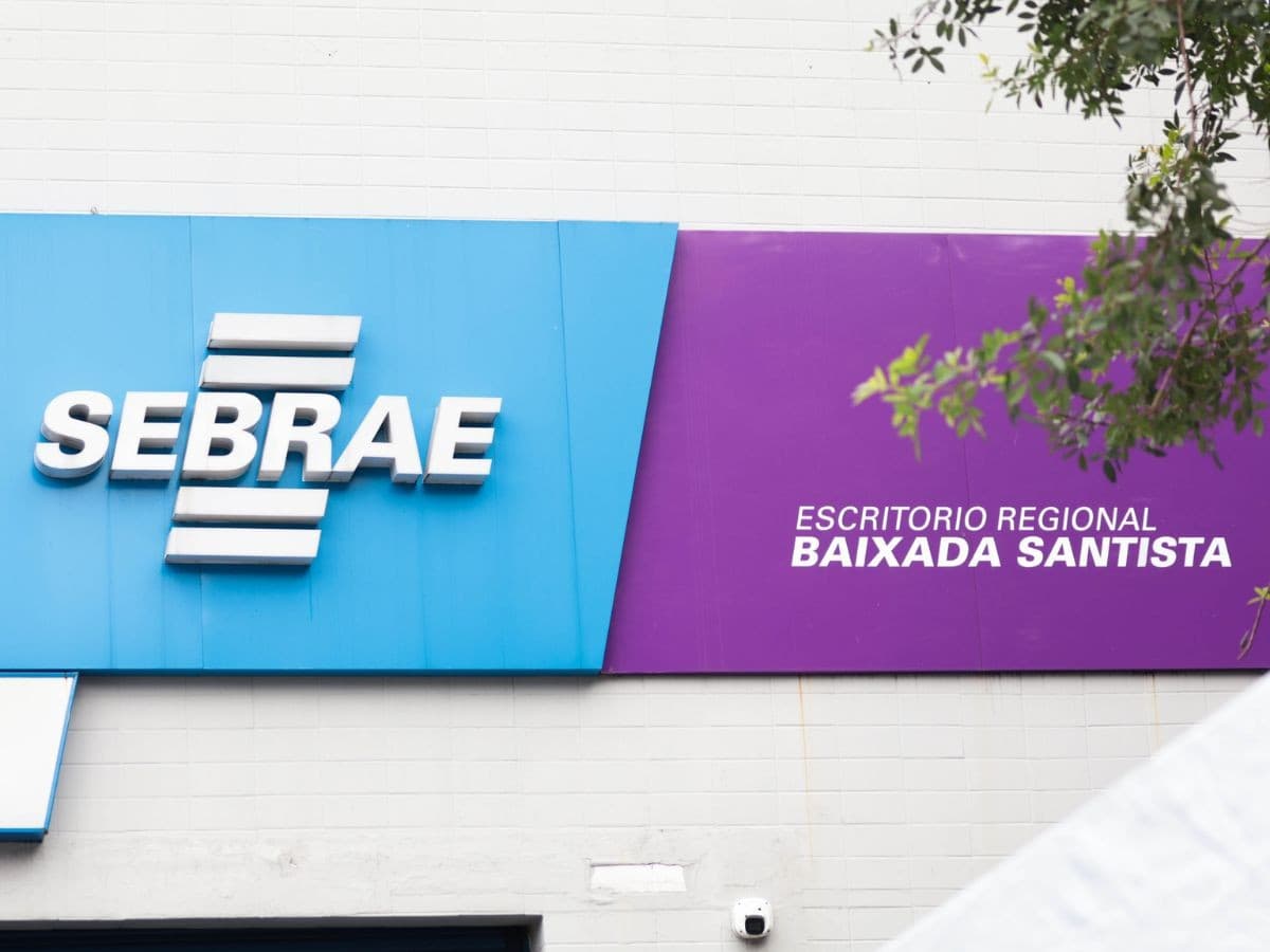 Sebrae abre 264 vagas em projeto de inovação para pequenos negócios; veja como se inscrever