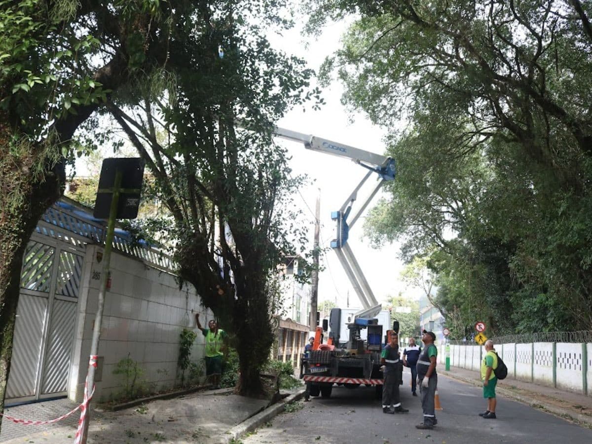 Reparos e limpeza nas ruas após vendaval devem continuar até domingo em Santos, SP