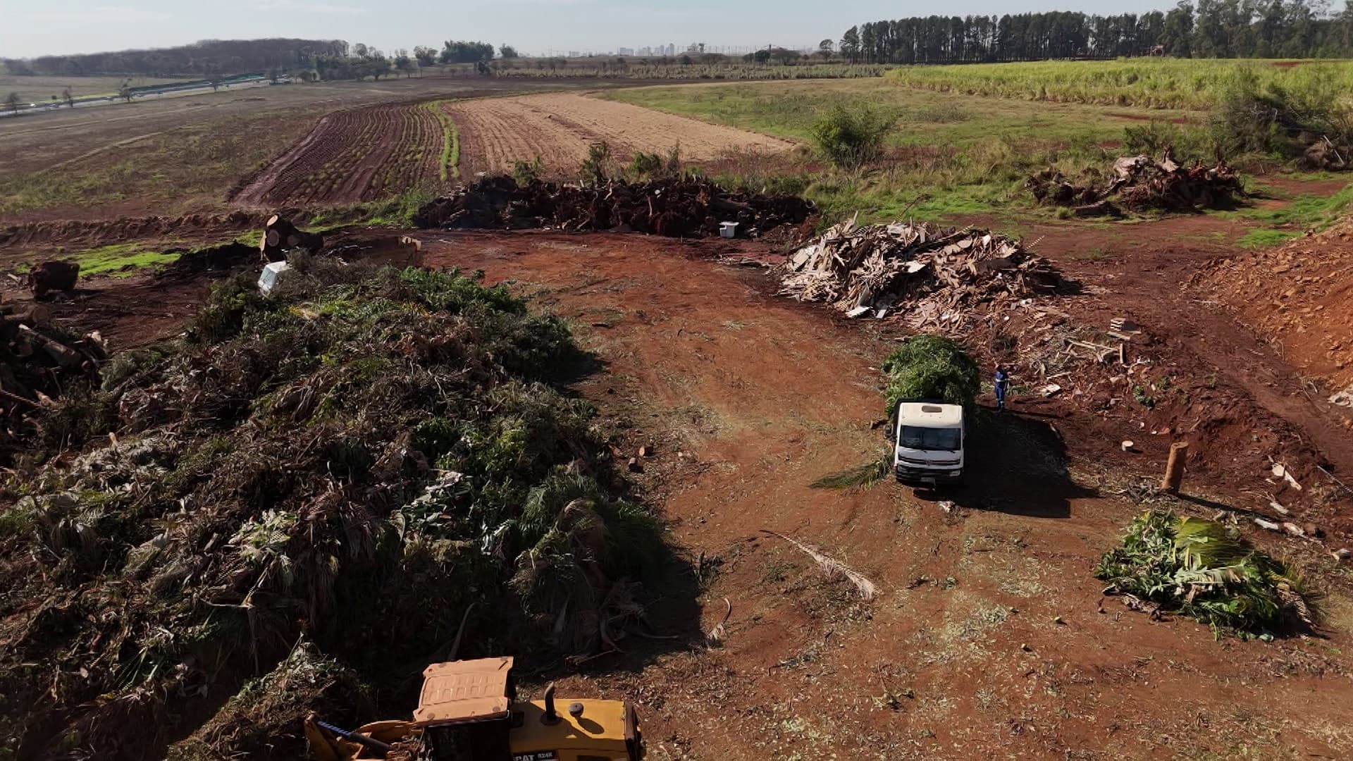 Aterro em Ribeirão Preto recebe 592 caminhões com galhos de árvores após temporal com ventos de até 160 km/h