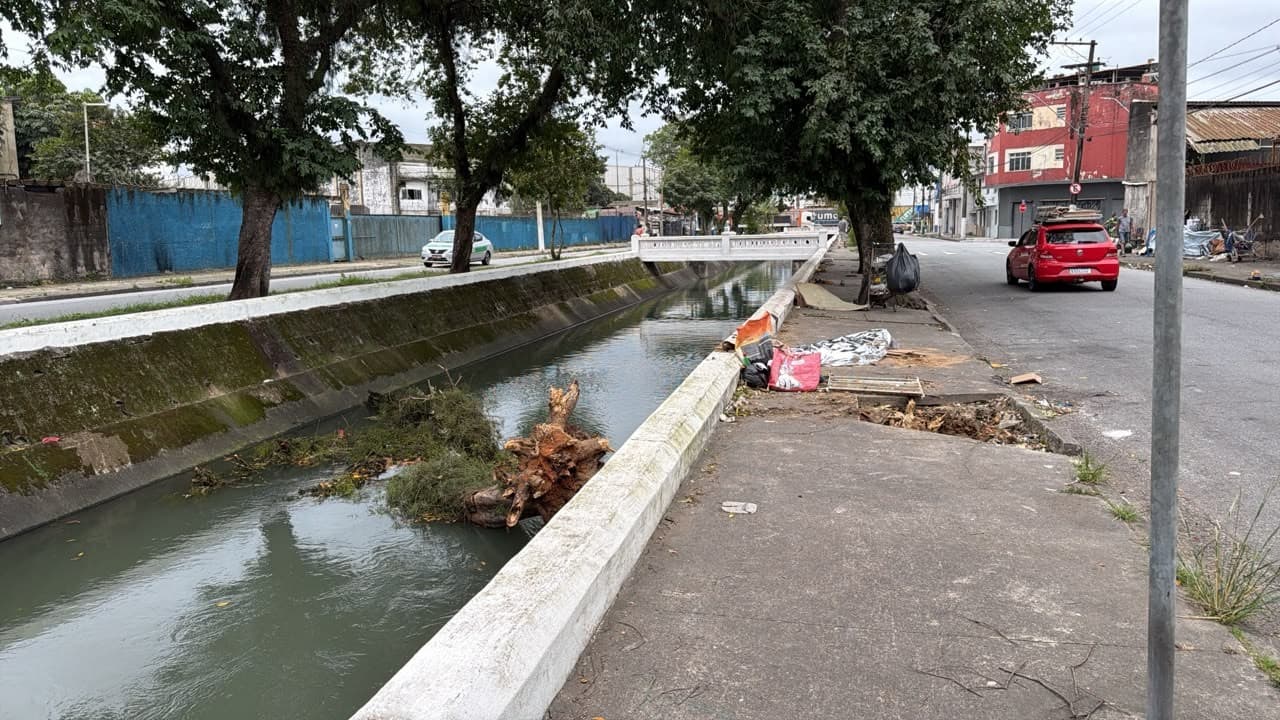 Ventania de 100 km/h provoca morte, quedas de árvores e cenário de destruição no Porto de Santos