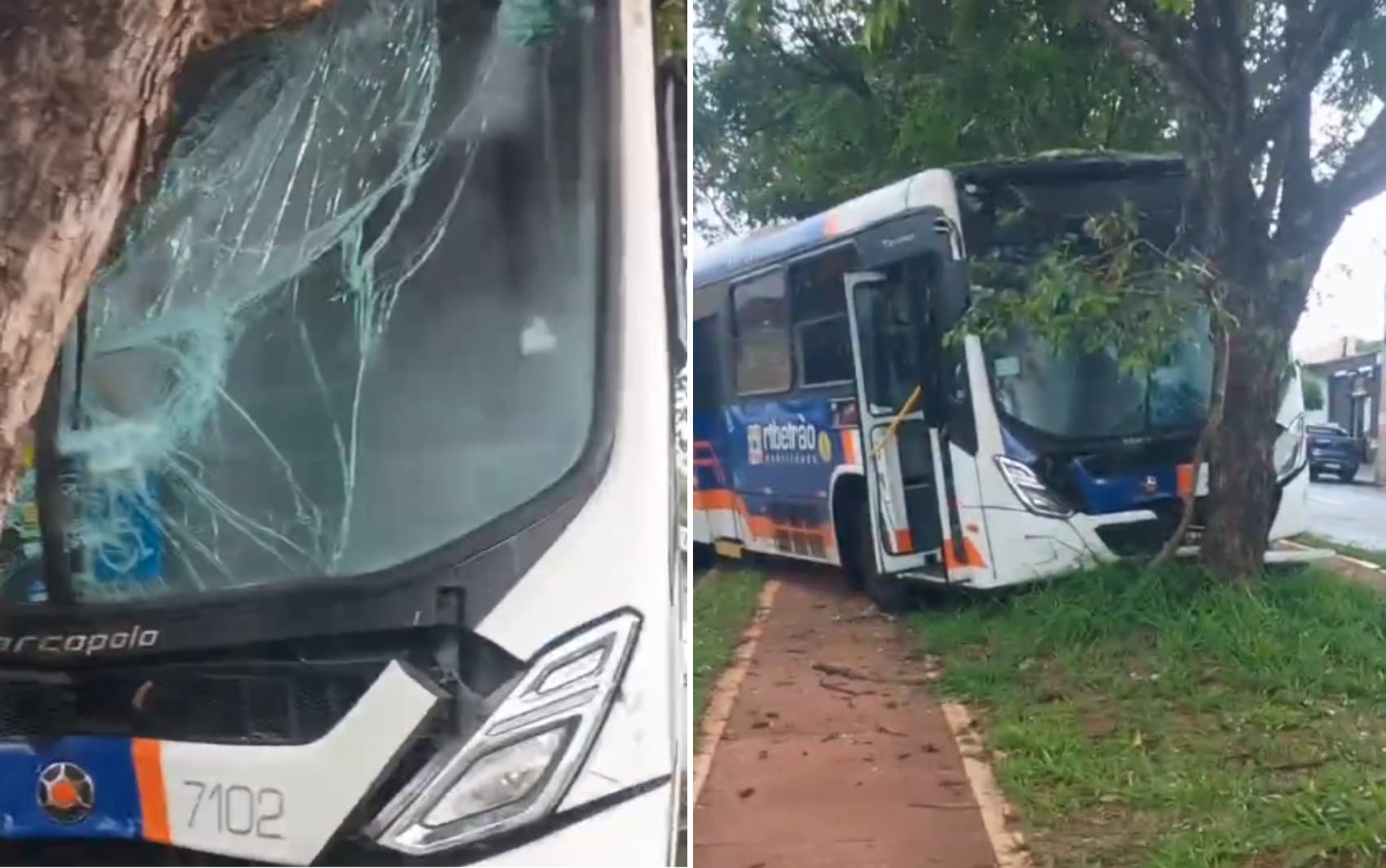 Ônibus desgovernado com passageiros bate em carro e árvore em Ribeirão Preto, SP