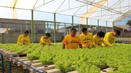Projeto Curumim educa e prepara jovens para o futuro em Jaborandi