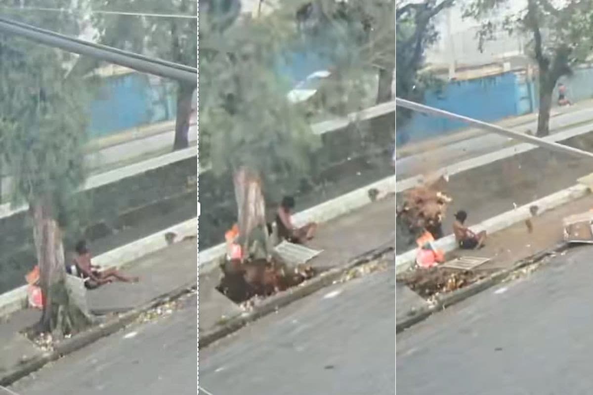 Câmera flagra árvore caindo e matando homem durante vendaval no litoral de SP